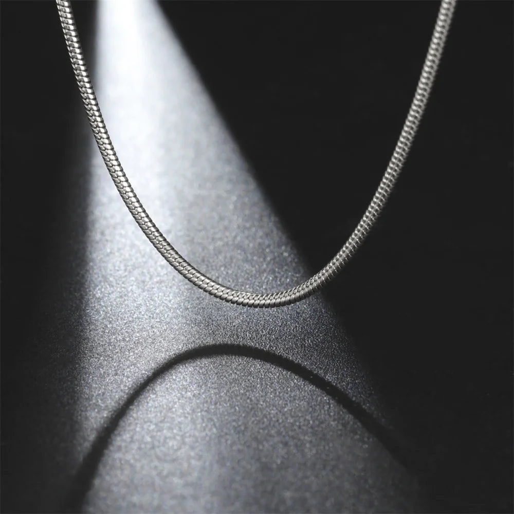 collier-chaine-acier-inoxydable-argent-packshot